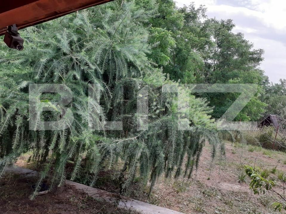 Casa de vânzare 3 camere Exterior Sud - 148635CV | BLITZ Bistriţa | Poza2