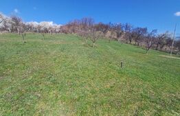 Casa + 80 arii teren