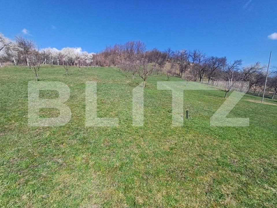 Casa de vânzare 3 camere Central - 149061CV | BLITZ Bistriţa | Poza2