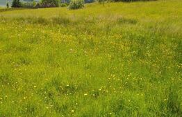 Teren intravilan Colibita ,1200mp