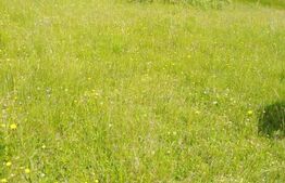 Teren intravilan Colibita ,1200mp