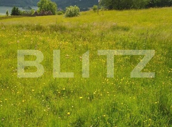 Teren de vânzare Colibiţa - 149682TV | BLITZ Bistriţa | Poza1