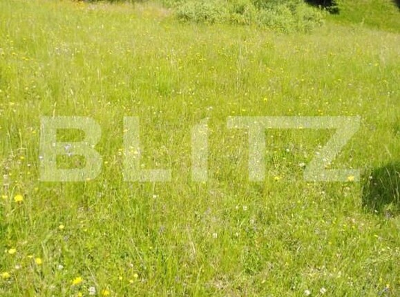Teren de vânzare Colibiţa - 149682TV | BLITZ Bistriţa | Poza2