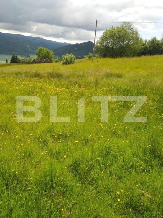 Teren de vânzare Colibiţa - 149682TV | BLITZ Bistriţa | Poza1