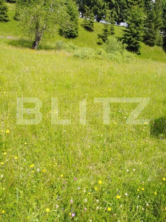 Teren de vânzare Colibiţa - 149682TV | BLITZ Bistriţa | Poza2