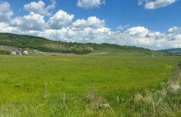 Teren 3ha extravilan