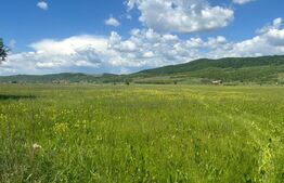 Teren 3ha extravilan