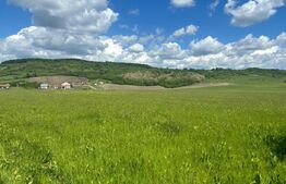 Teren 3ha extravilan