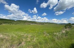 Teren 3ha extravilan