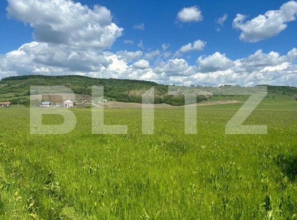 Teren de vânzare Exterior Sud - 149806TV | BLITZ Bistriţa | Poza2