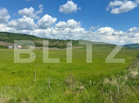 Teren de vânzare Exterior Sud - 149806TV | BLITZ Bistriţa | Poza4