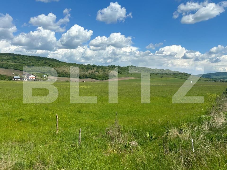 Teren de vânzare Exterior Sud - 149806TV | BLITZ Bistriţa | Poza4