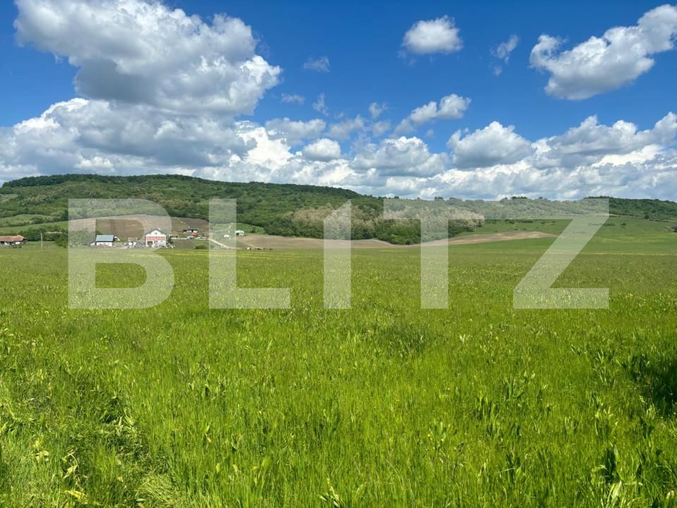 Teren de vânzare Exterior Sud - 149806TV | BLITZ Bistriţa | Poza2