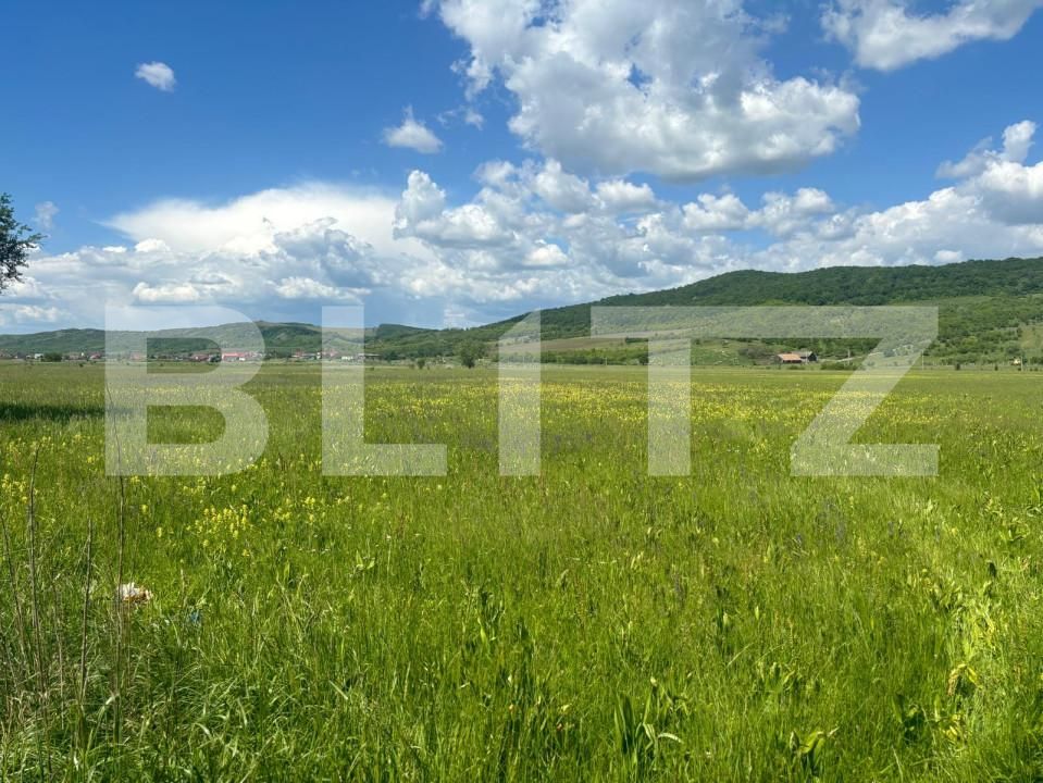 Teren de vânzare Exterior Sud - 149806TV | BLITZ Bistriţa | Poza5