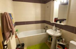 Apartament cu o camera, bucatarie open space 