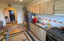 Apartament cu o camera, bucatarie open space 