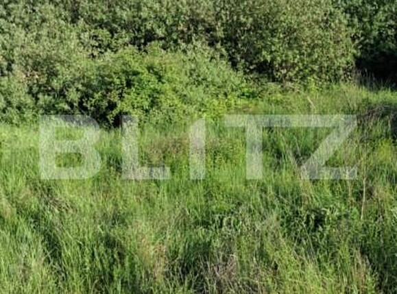 Teren de vânzare Nord-Vest - 150029TV | BLITZ Bistriţa | Poza1