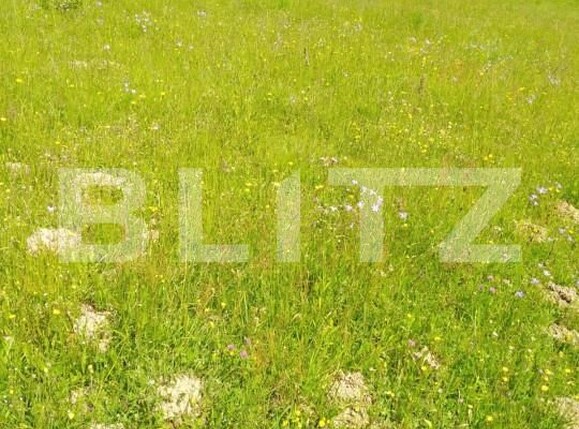 Teren de vânzare Colibiţa - 150136TV | BLITZ Bistriţa | Poza2