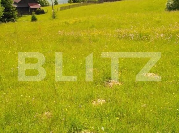Teren de vânzare Colibiţa - 150136TV | BLITZ Bistriţa | Poza1