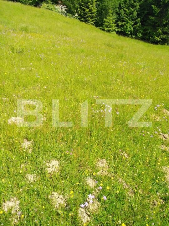 Teren de vânzare Colibiţa - 150136TV | BLITZ Bistriţa | Poza2