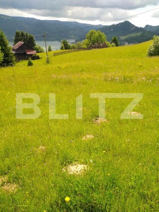 Teren de vânzare Colibiţa - 150136TV | BLITZ Bistriţa | Poza1