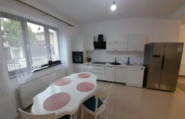 Casă cu 5 ari teren, Zonă Centrală - Ideal Clinică, Sediu Firmă, Investitie