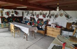 Casa individuala 3 camere, 163mp,5100mp teren,Zona Jelna