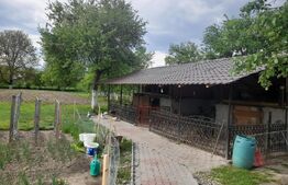 Casa individuala 3 camere, 163mp,5100mp teren,Zona Jelna