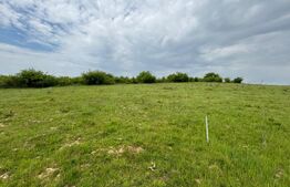 Teren Intravilan 500mp Sigmir