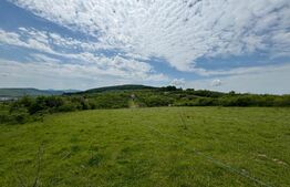 Teren Intravilan 500mp Sigmir