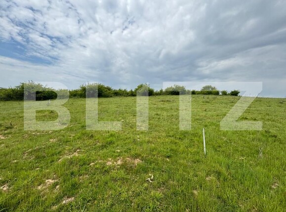 Teren de vânzare Sud-Vest - 150732TV | BLITZ Bistriţa | Poza2