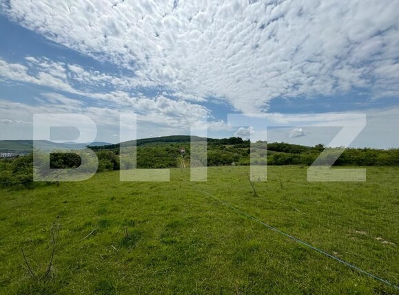 Teren de vânzare Sud-Vest - 150732TV | BLITZ Bistriţa | Poza1