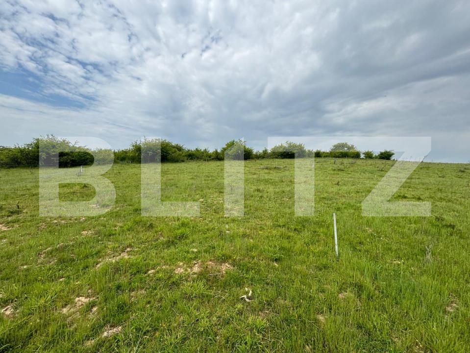 Teren de vânzare Sud-Vest - 150732TV | BLITZ Bistriţa | Poza2