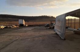 Depozit si Casa 1000 mp