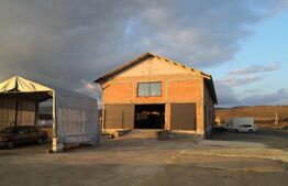 Depozit si Casa 1000 mp