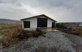 Casa individuala,180mp, 5000 mp teren plus Hala 550mp.CEPARI