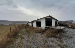 Casa individuala,180mp, 5000 mp teren plus Hala 550mp.CEPARI