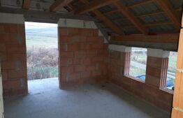 Casa individuala,180mp, 5000 mp teren plus Hala 550mp.CEPARI