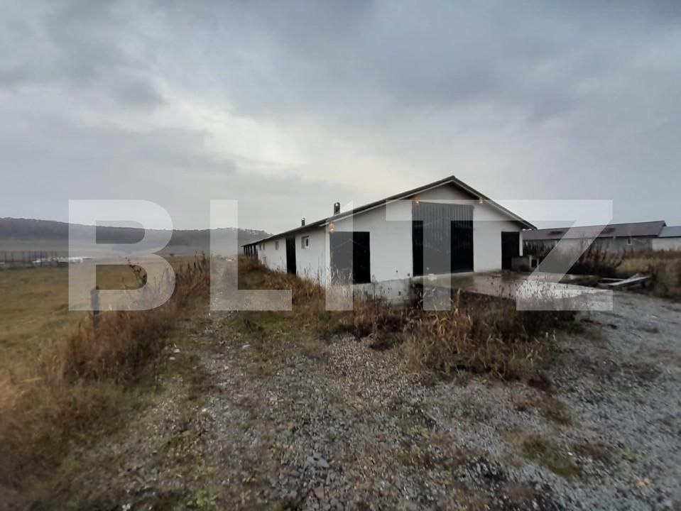 Casa de vânzare 4 camere Exterior Nord - 150874CV | BLITZ Bistriţa | Poza12