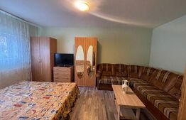 Garsoniera de inchiriat,35 mp,decomandata,parter,Cal Moldovei