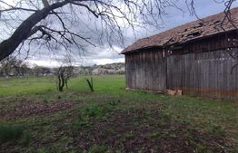 🏡 Casă Tradițională din Lemn – Proprietate Generoasă, Comuna Josenii Bargaului