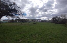 Casa 80mp, teren 7500mp , intravilan, zona Valea Bargaului