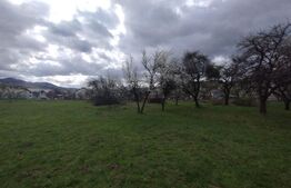 🏡 Casă Tradițională din Lemn – Proprietate Generoasă, Comuna Josenii Bargaului