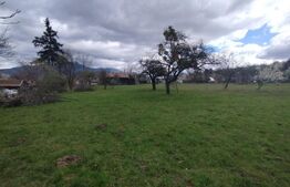 🏡 Casă Tradițională din Lemn – Proprietate Generoasă, Comuna Josenii Bargaului