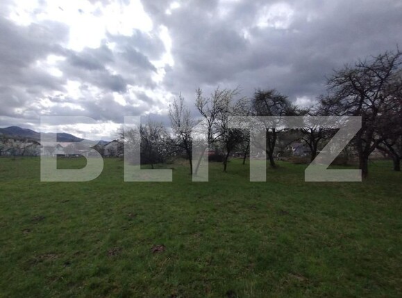 Casa de vânzare 4 camere Central - 151005CV | BLITZ Bistriţa | Poza4