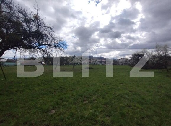 Casa de vânzare 4 camere Central - 151005CV | BLITZ Bistriţa | Poza6