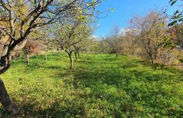 Casa P+M de aprox.140 mp, cu 10 ari livada de pomi si 1,5ari de gradina in Nepos 