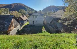 Casa P+M de aprox.140 mp, cu 10 ari livada de pomi si 1,5ari de gradina in Nepos 