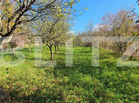 Casa de vânzare 5 camere Nord - 151323CV | BLITZ Bistriţa | Poza11