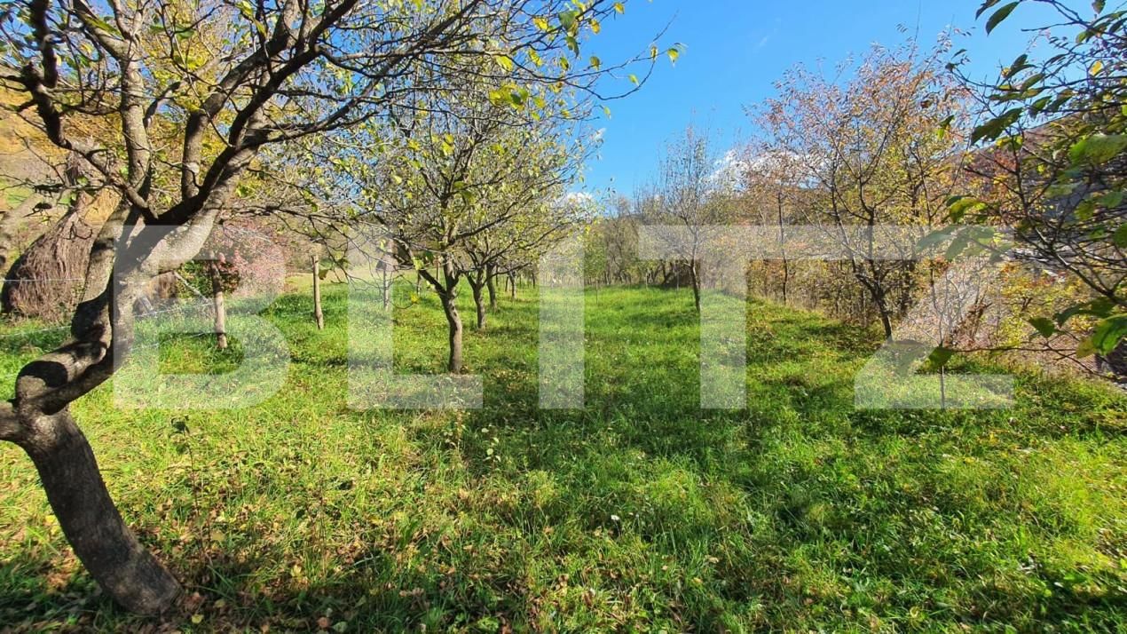 Casa de vânzare 5 camere Nord - 151323CV | BLITZ Bistriţa | Poza11